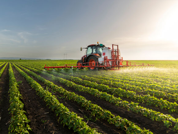 Agriculture